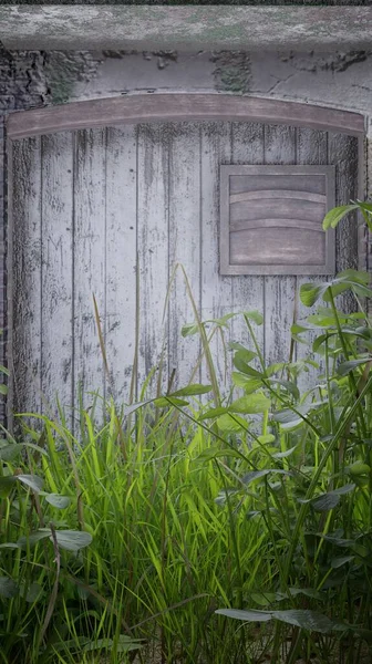 Renderizar Grama Frente Porta Papel Parede Fundos — Fotografia de Stock