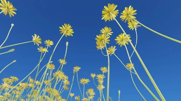 3Dレンダリング花は青空の自然シーンに対して開花壁紙の背景 — ストック写真