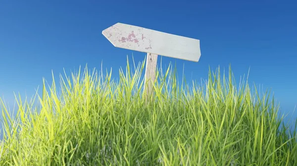 3D渲染绿草与蓝色天空场景的木制标志自然墙纸概念背景 — 图库照片