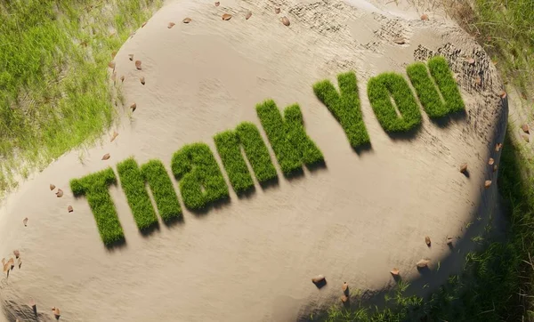 Візуалізація Вид Збоку Дякую Зеленої Трави Алфавіт Білому Піску Концепції — стокове фото