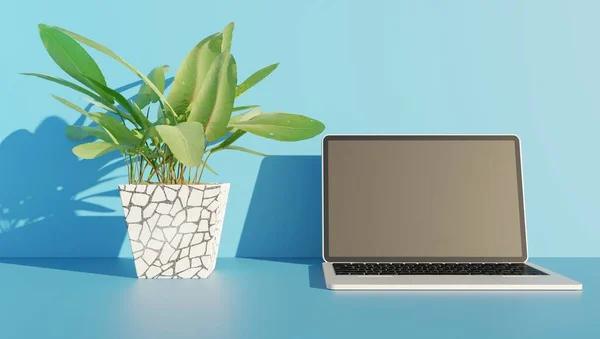 青のシーンと花瓶観賞植物の壁紙の背景に3Dレンダリングフロントビューノートパソコン — ストック写真