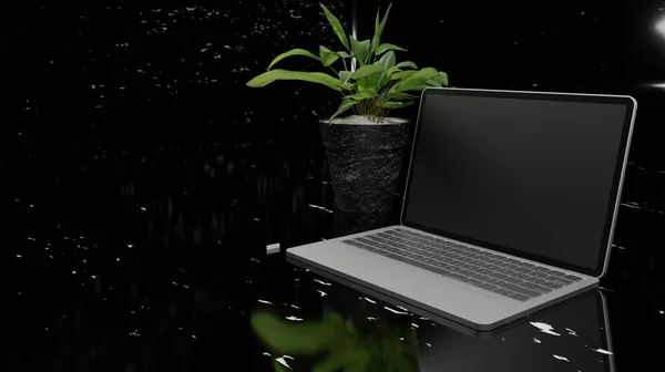 Business laptop on desk with ornamental plant in dark scene 3D rendering wallpaper backgrounds