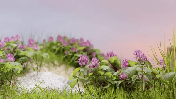 Full Blommande Vår Tid Natur Landskap Sanddyner Rendering Blommor Tapet — Stockfoto