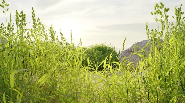 草や花のフィールド風景自然シーン3Dレンダリング自然壁紙の背景 — ストック写真