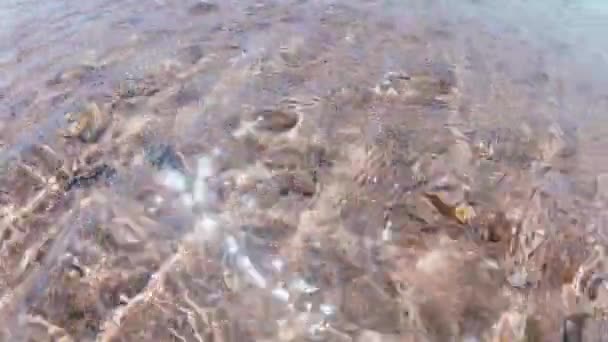 Piękna Czysta Woda Egipcie Morze Płynnymi Falami Przepływu — Wideo stockowe