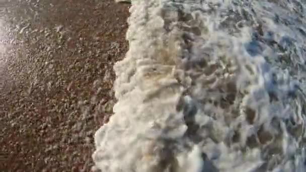 風光明媚な海のビーチでカラフルな夜の波の流れ — ストック動画