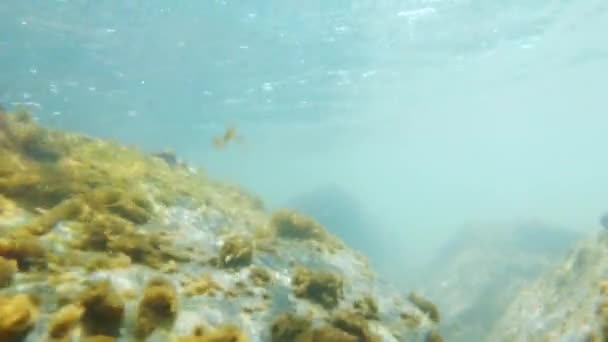 Beautiful Sea Underwater Stones Smoothly Flow Blue Waves — Video Stock