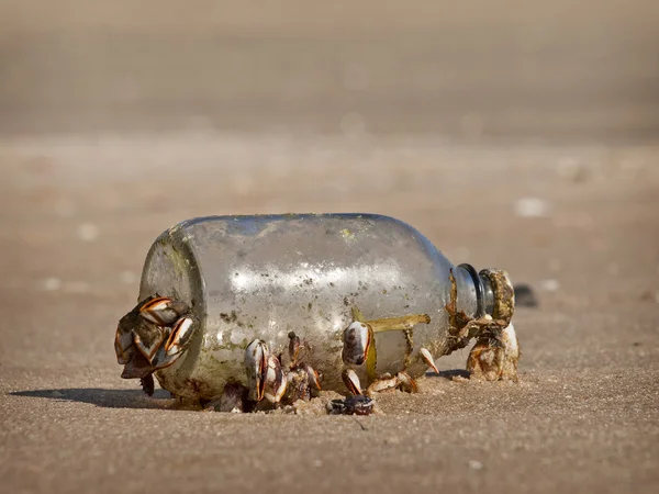 Een fles op het strand — Stockfoto