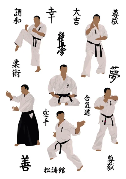 Set van beelden van karate — Stockvector