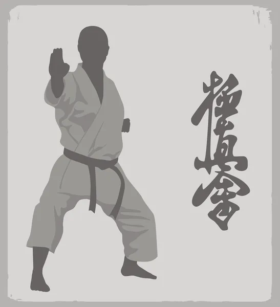 Karate. — Archivo Imágenes Vectoriales