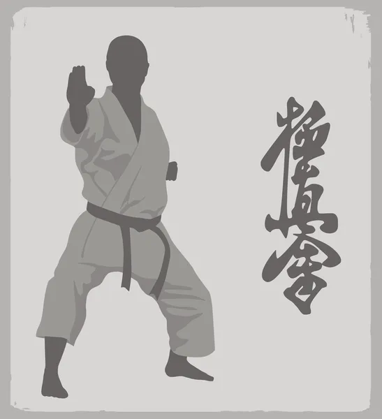 Karate — Stock Vector