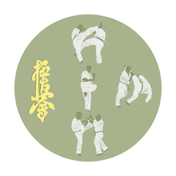 Uppsättning bilder av karate — Stock vektor