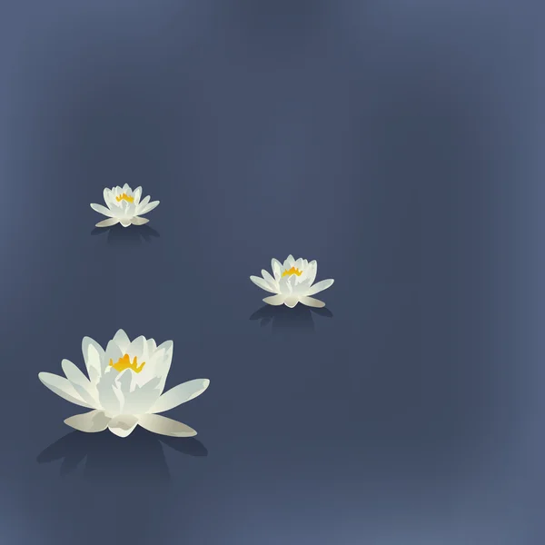 Tre blommor av en Lilja i sjön på en blå bakgrund — Stock vektor