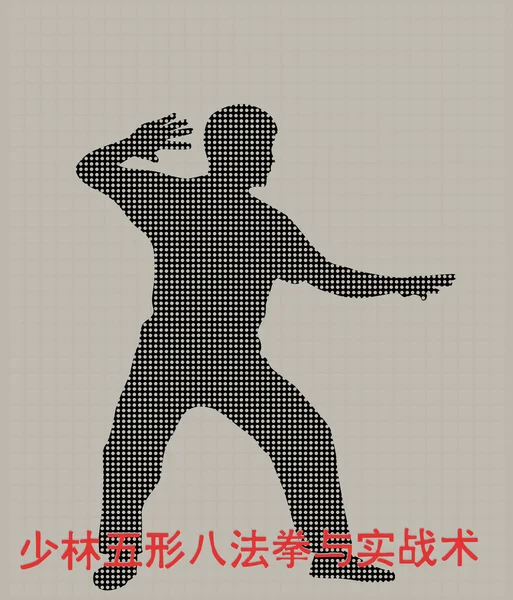 Gri bir arka plan üzerinde meşgul kung fu adam silüeti — Stok Vektör