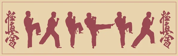 Illustrazione, serie di immagini dell'uomo di karate impegnato — Vettoriale Stock