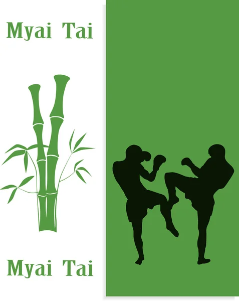 Ilustracja, dwóch mężczyzn są zaangażowane w myai tai — Wektor stockowy
