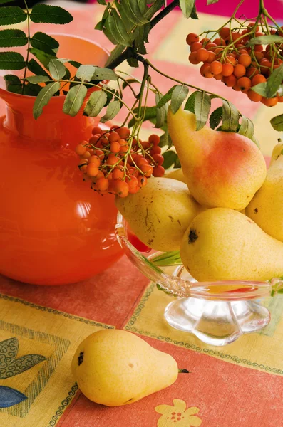 Still-life with pears and a branch of a mountain ash on a table — Stock Photo, Image
