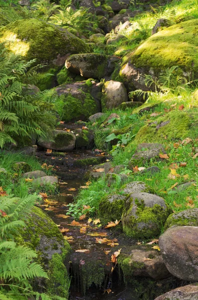 Stream among stones in autumn park — Stock Photo, Image