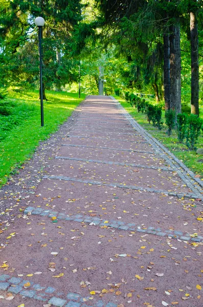 Callejón en el parque el sol de la mañana — Foto de Stock