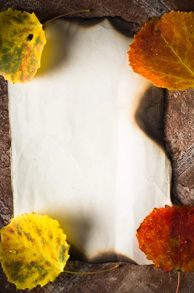 Hösten kort färgade blad — Stockfoto
