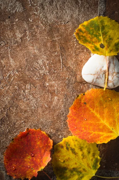 Podzimní kartu barevné listy — Stock fotografie