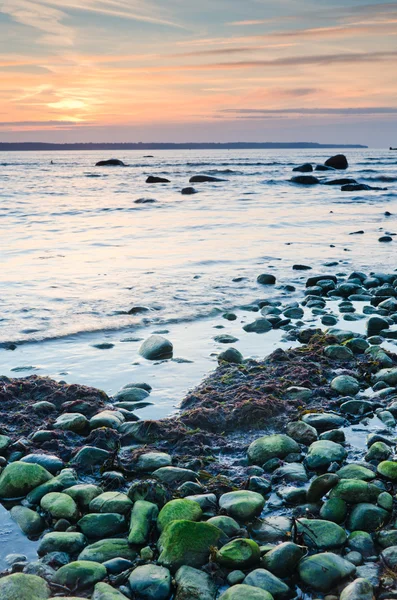 Wybrzeże Morza Bałtyckiego na zachodzie słońca — Zdjęcie stockowe