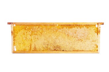 Petek Bal, üzerinde beyaz izole tam çerçeve