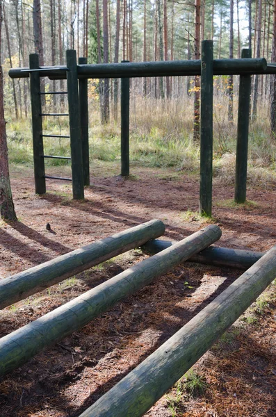 Oefeningsapparatuur van logs in een forest park — Stockfoto