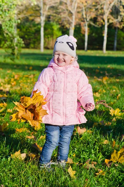 The little girl collects fallen down leaves in autumn park — Stock Photo, Image