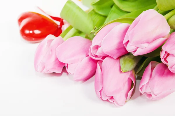 Růžové tulipány, izolované na bílém — Stock fotografie