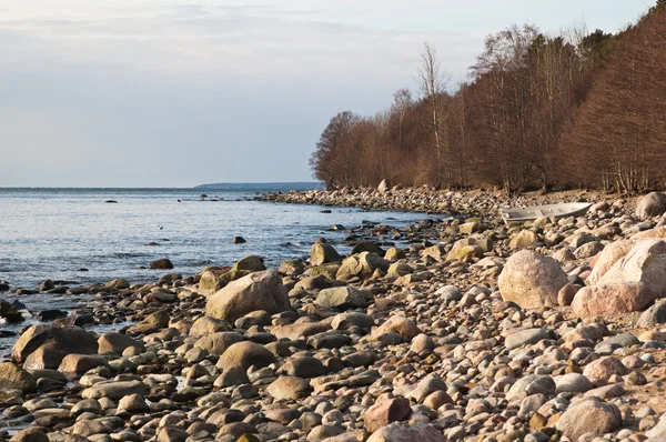 Stony coast of Baltic sea — Stock Photo, Image