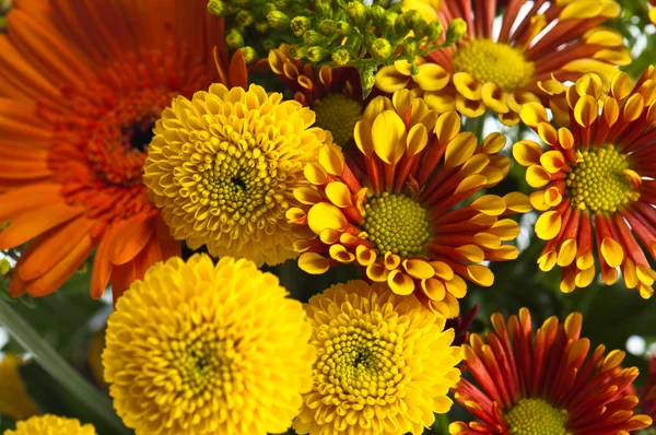 A bouquet of summer flowers, close-up — Stock Photo, Image