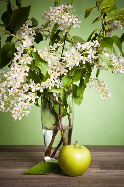 Bouquet of a blossoming bird cherry in a vase on a table — Stock Photo, Image