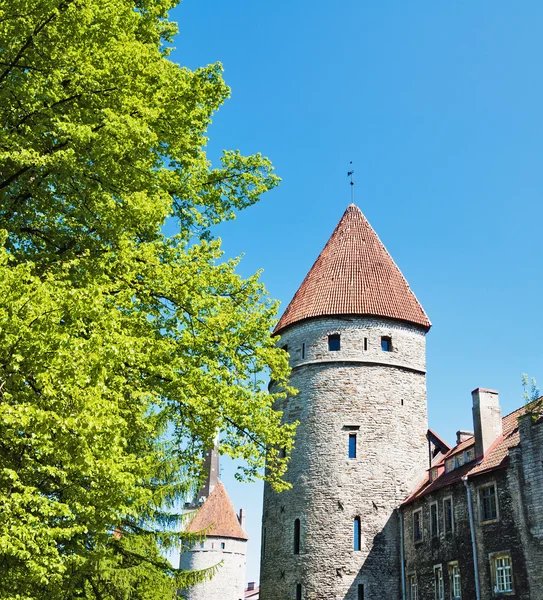 Towers of a fortification of Old Tallinn — Stock Photo, Image