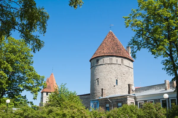 Torri di una fortificazione di Tallinn Vecchio — Foto Stock