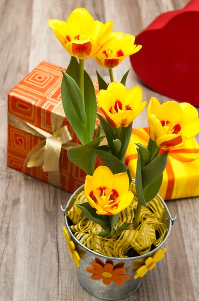 It's rood geel tulpen en geschenkdozen, een close up — Stockfoto