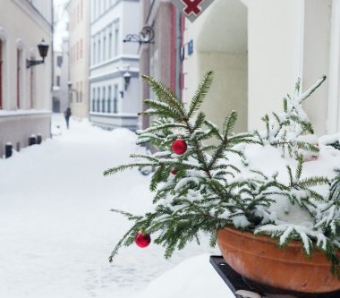Yılbaşı çam ağacı balonlarla süslenmiş ve ile serpilir