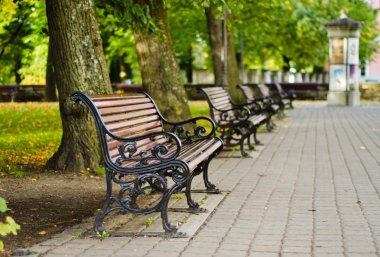 sonbahar Park banklar