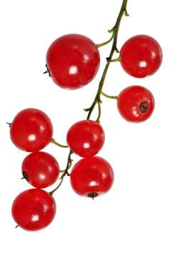 Bir grup kırmızı frenk üzümü, beyazda izole edilmiş.