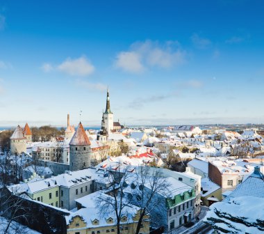 eski tallinn soğuk sabah rooftops üzerinde bir görünüm