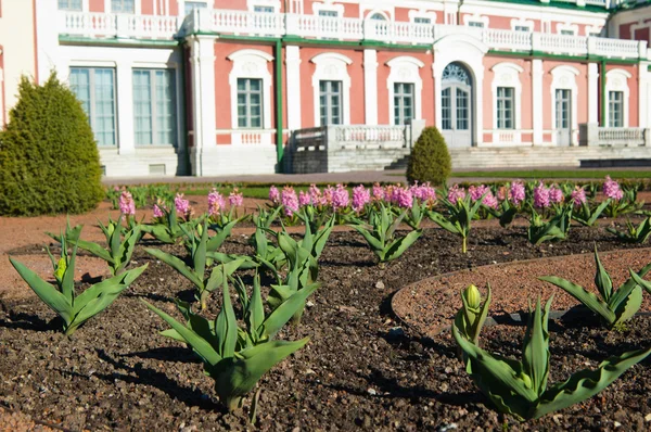 Jardines del Palacio Kadriorg en Tallin, Estonia —  Fotos de Stock