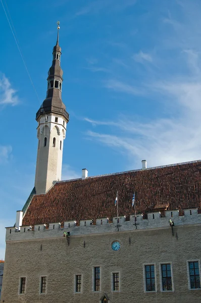 Tallinns rådhus en solig dag — Stockfoto