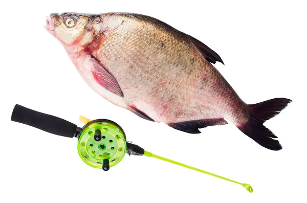 Bream and Rod is isolated on a white background — Stock Photo, Image