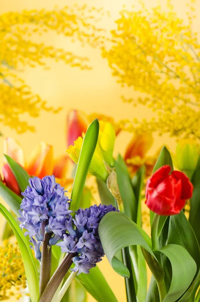 Lente boeket met een mimosa en tulpen — Stockfoto