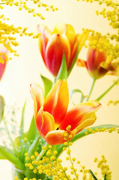 Spring bouquet with a mimosa and tulips — Stock Photo, Image