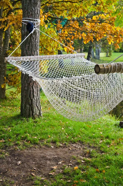 Een hangmat in de buurt van de vijver in herfst park — Stockfoto