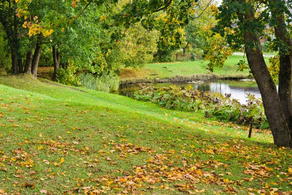 Höstlandskap vid en damm — Stockfoto