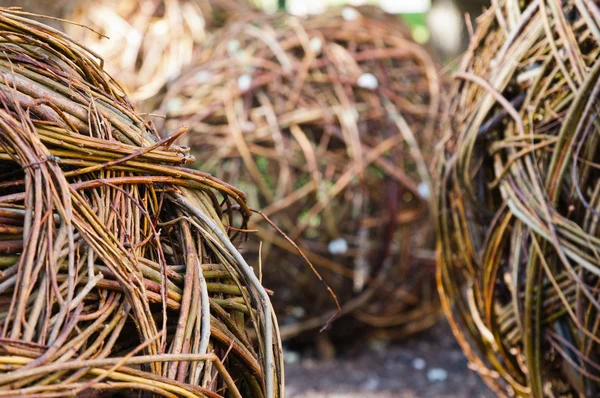 Twisted willow twigs of balls for landscaping — Stock Photo, Image