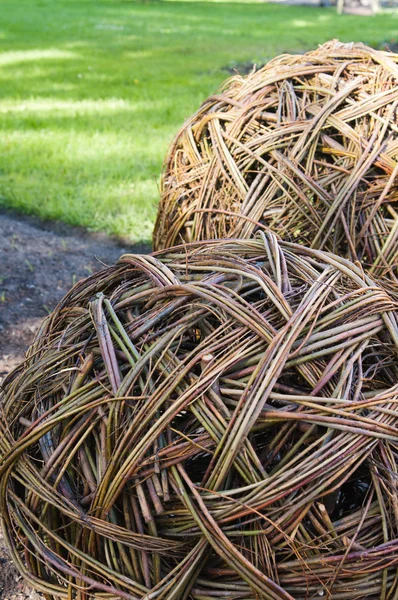 Twisted willow twigs of balls for landscaping — Stock Photo, Image