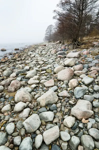 Coast of Baltic sea in a fog — Stock Photo, Image